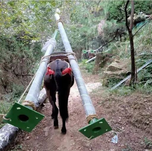 三明骡马运输队